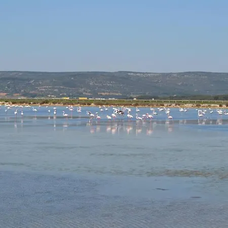 Les Mas De La Plage